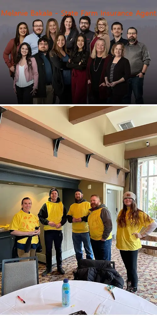 melanie bakala  state farm insurance agent wa 98584