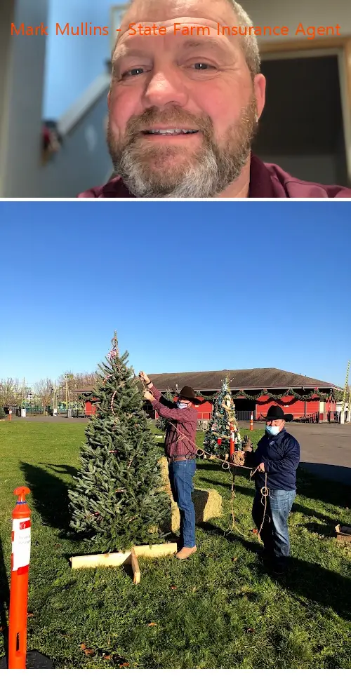 mark mullins  state farm insurance agent wa