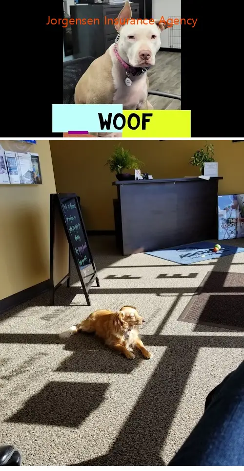 jorgensen insurance agency wa