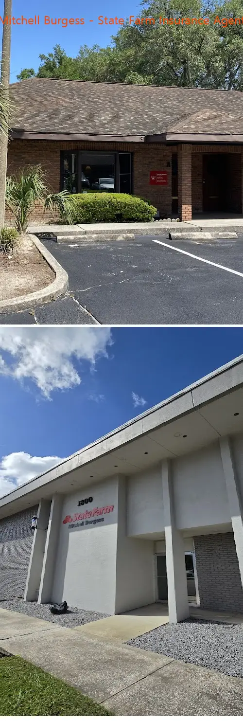 mitchell burgess  state farm insurance agent fl