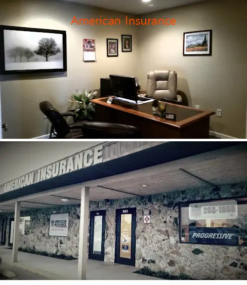 american insurance fl