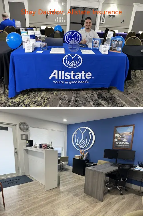 shay davidov: allstate insurance fl