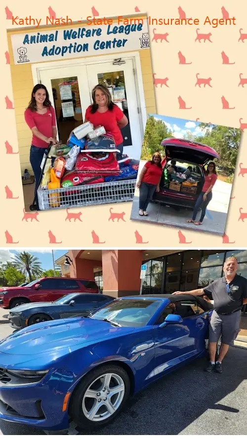 kathy nash  state farm insurance agent fl