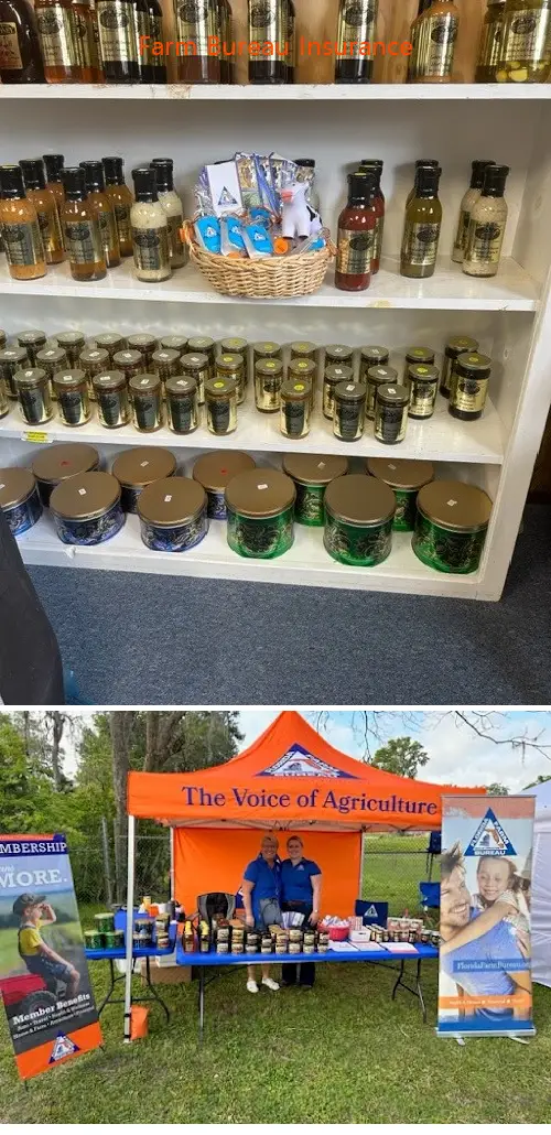 farm bureau insurance fl 32693