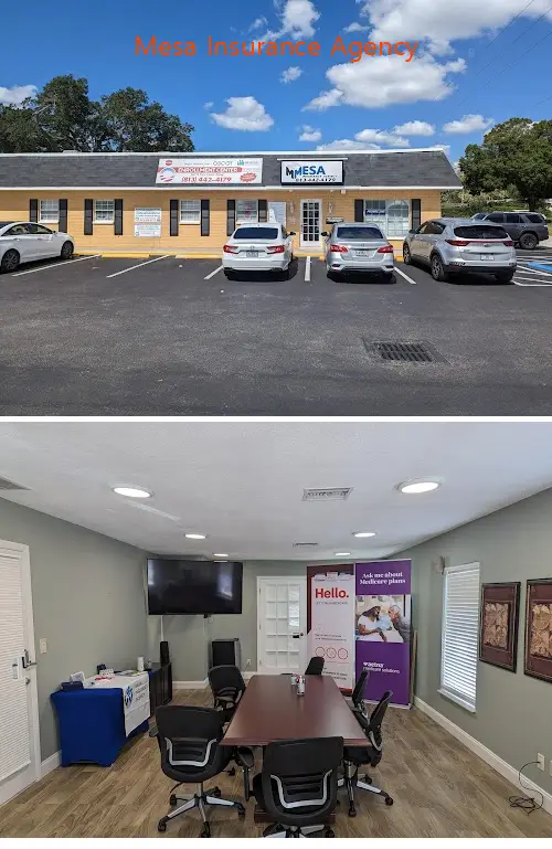 mesa insurance agency fl