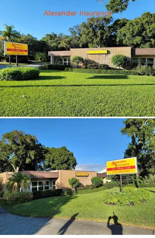 alexander insurance fl