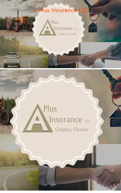 a plus insurance llc fl