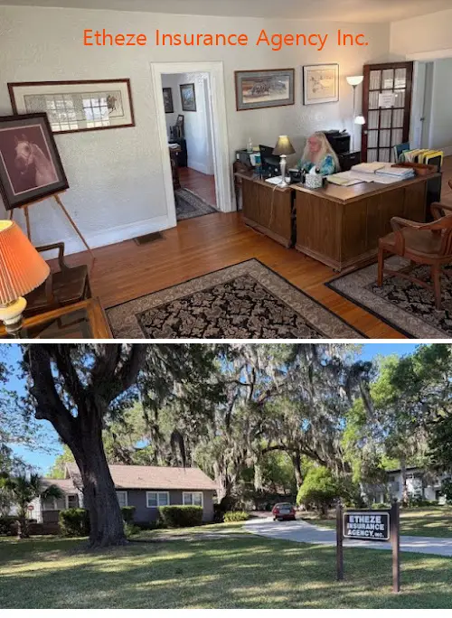 etheze insurance agency inc fl