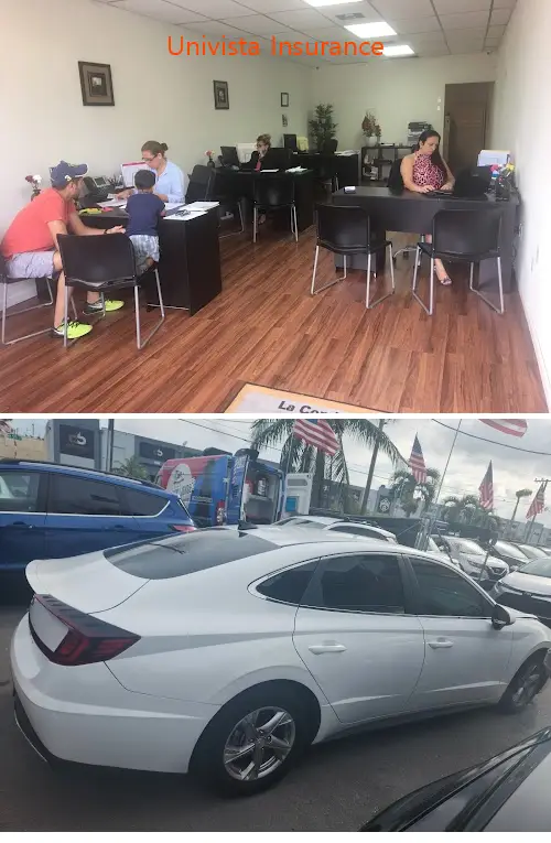 univista insurance fl 33134
