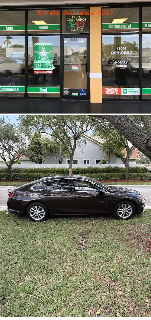 estrella insurance #267 fl