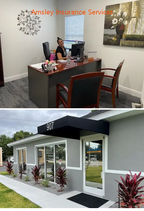 amsley insurance services fl