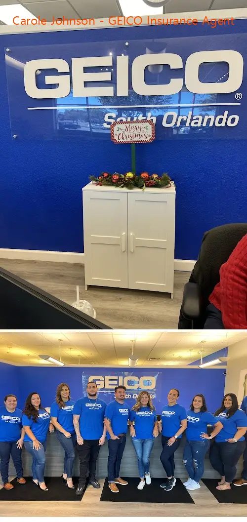 carole johnson  geico insurance agent fl