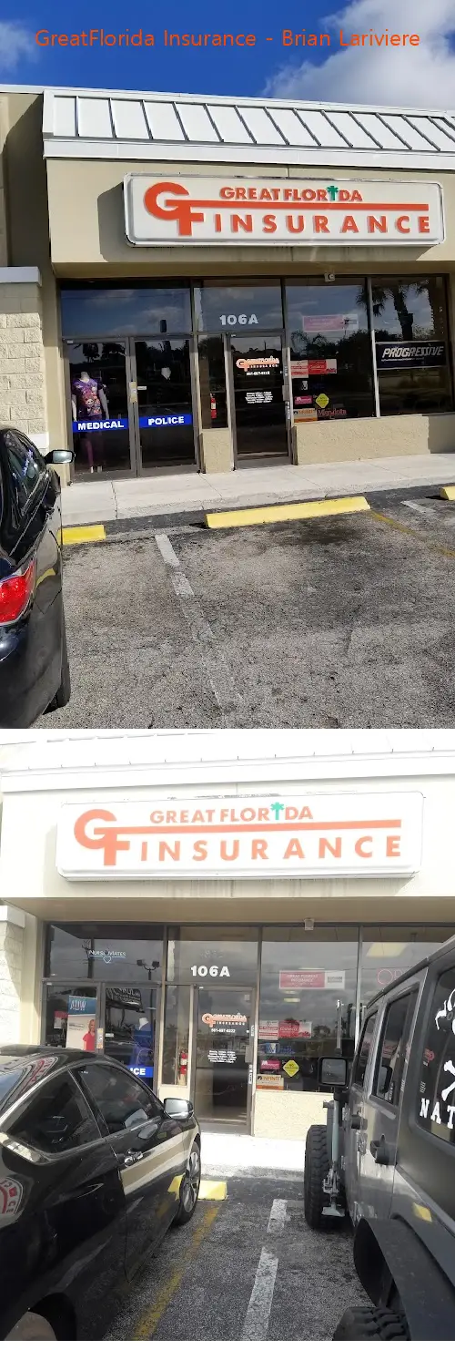 greatflorida insurance  brian lariviere fl 33411