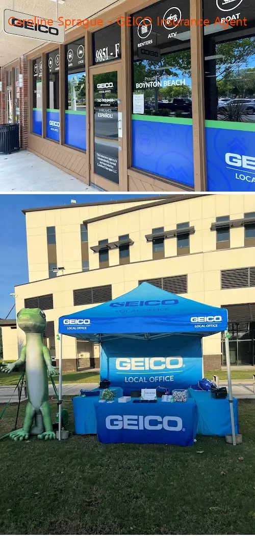 caroline sprague geico insurance agent fl