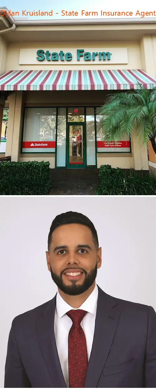 dylan kruisland  state farm insurance agent fl