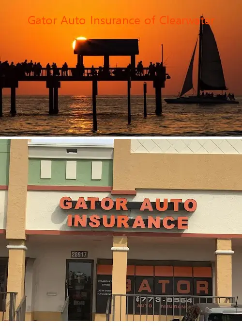 gator auto insurance of clearwater fl