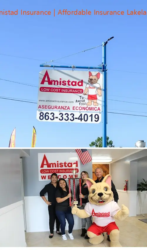 amistad insurance | affordable insurance lakeland fl