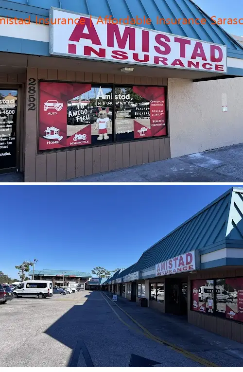 amistad insurance | affordable insurance sarasota fl