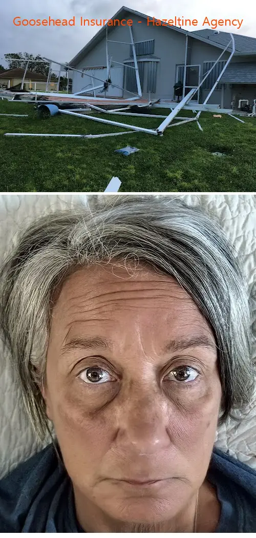 goosehead insurance  hazeltine agency fl