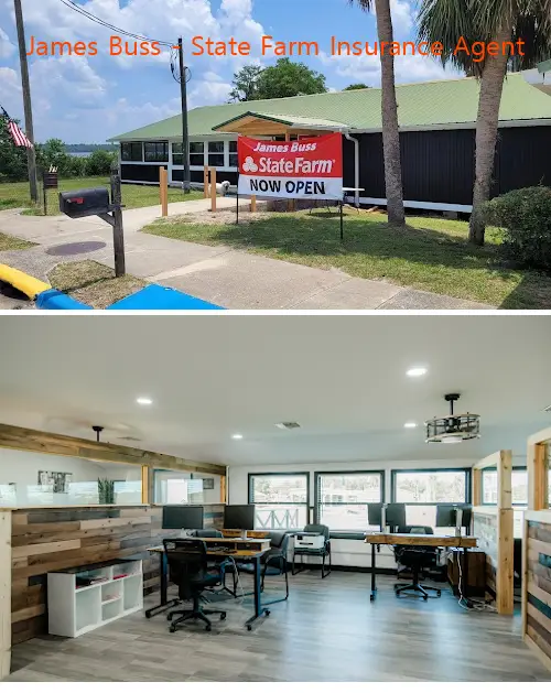 james buss  state farm insurance agent fl