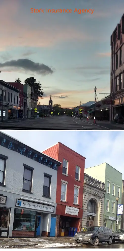 stork insurance agency ny 14527