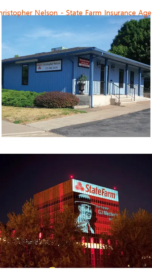christopher nelson  state farm insurance agent ny