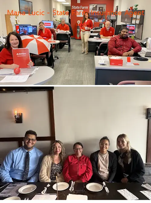 maria lucic  state farm insurance agent ny