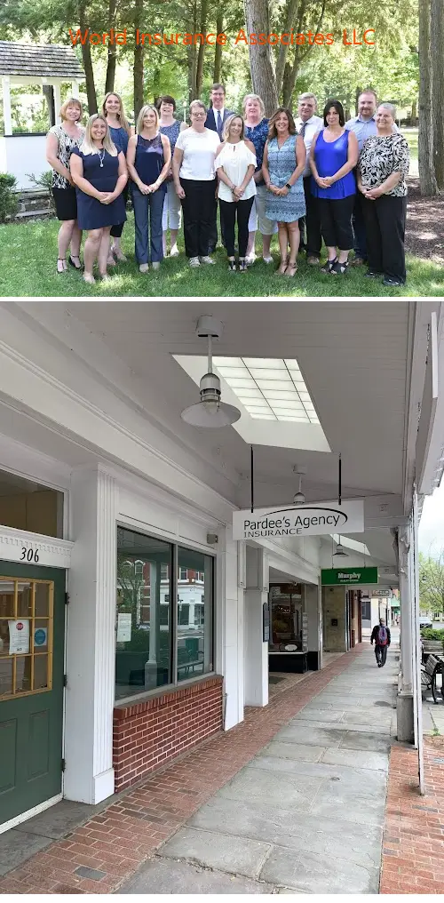 world insurance associates llc ny 12401