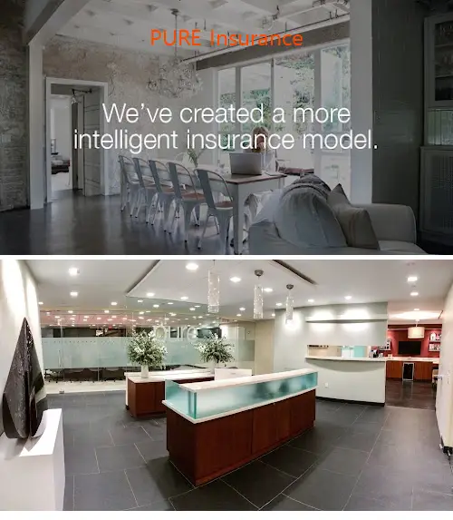 pure insurance ny