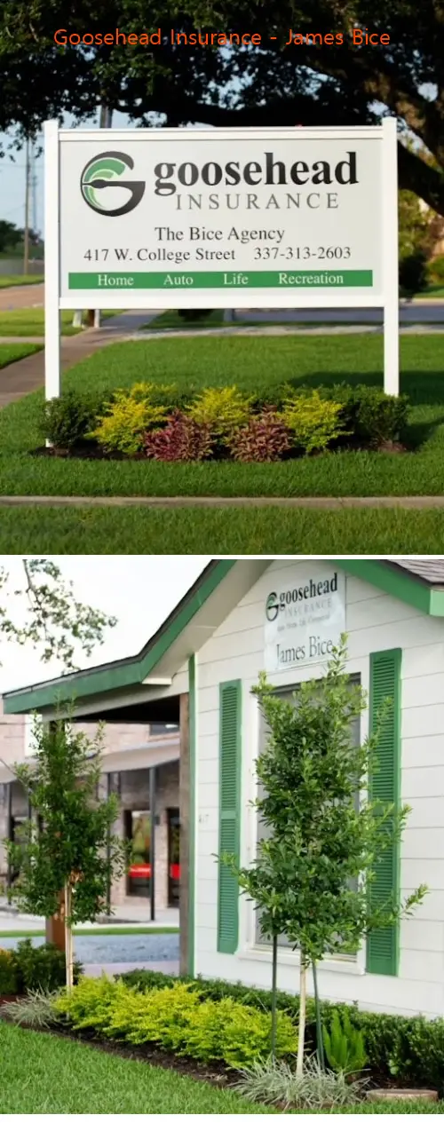goosehead insurance  james bice la
