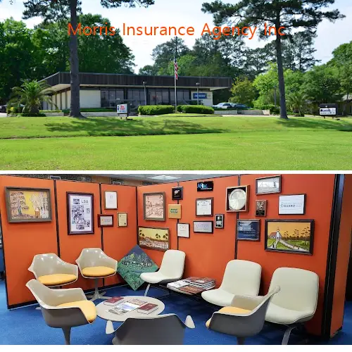 morris insurance agency inc la