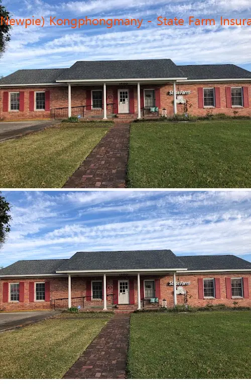 nouphay newpie kongphongmany  state farm insurance agent la