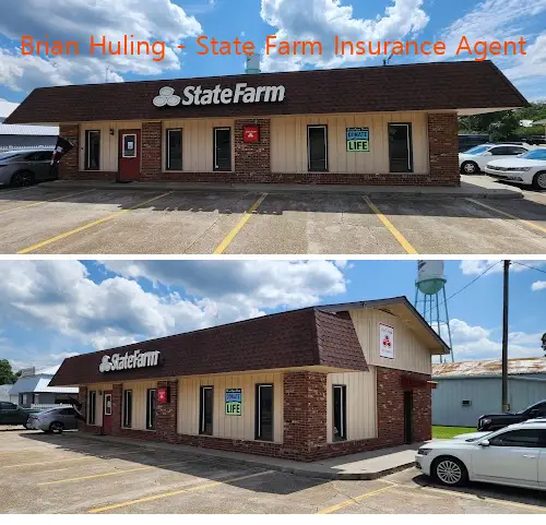 brian huling  state farm insurance agent ga