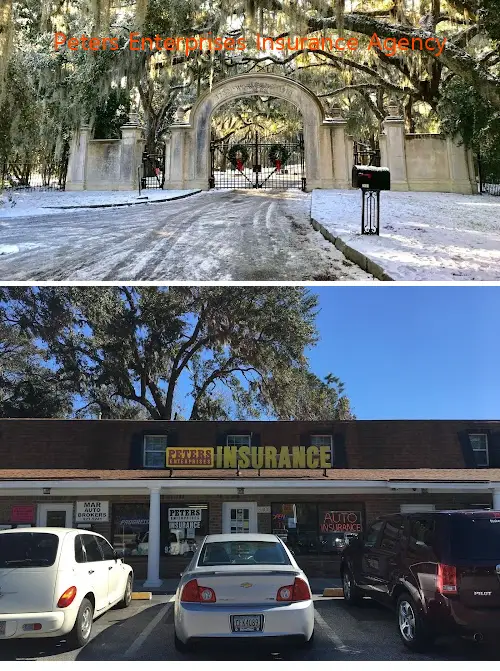 peters enterprises insurance agency ga 31406