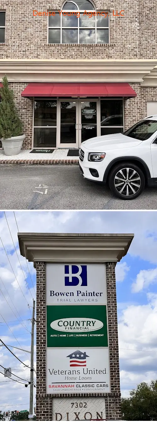 denise young agency llc ga