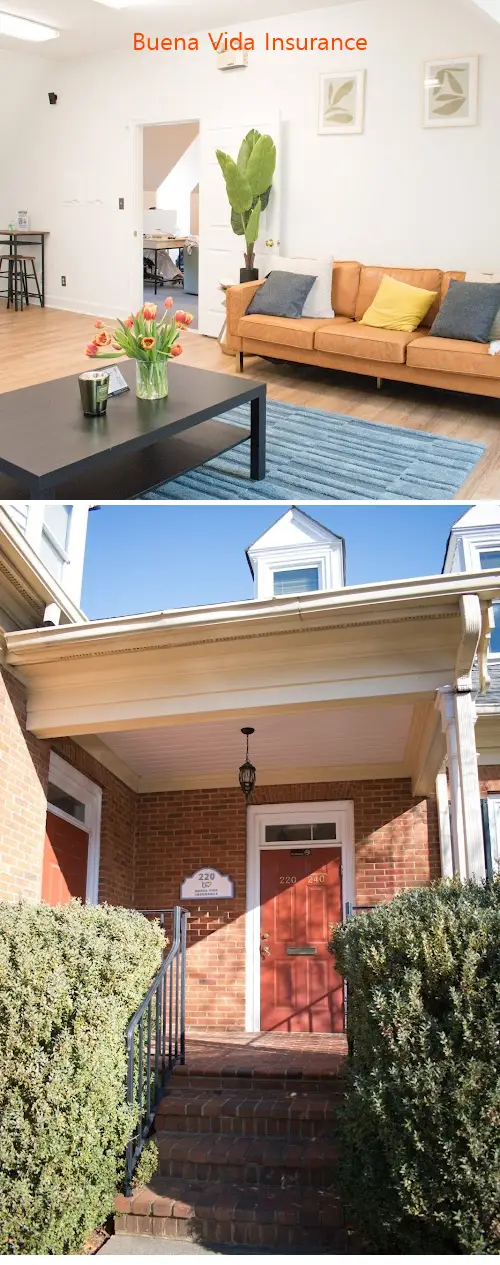 buena vida insurance ga