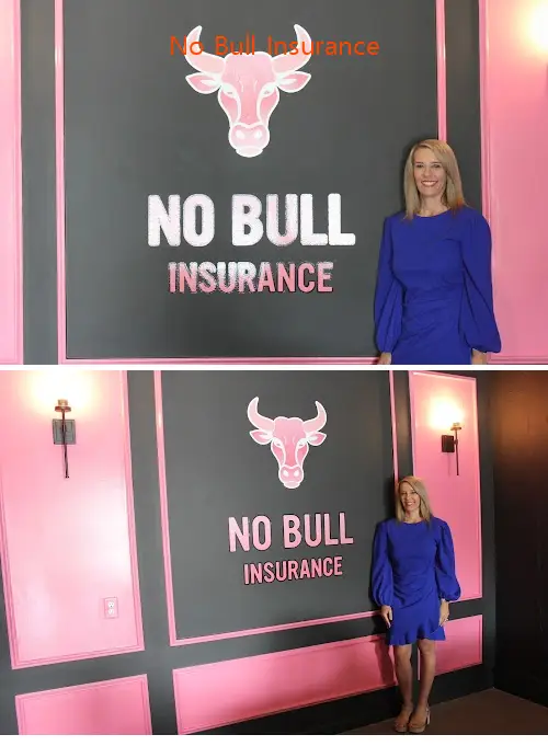 no bull insurance ga