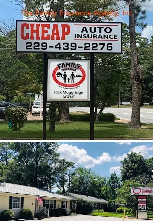 the family insurance agency inc ga