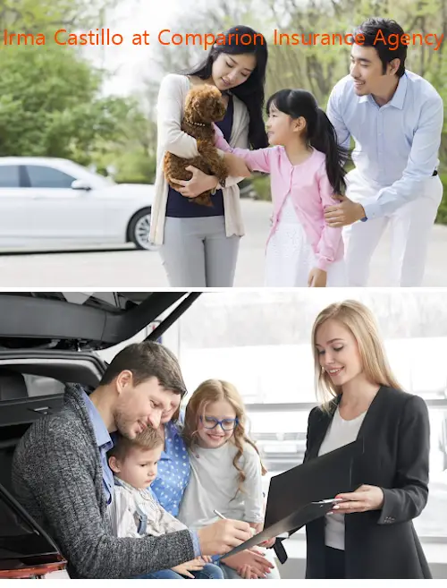 irma castillo at comparion insurance agency ga