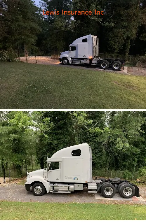 lewis insurance inc ga