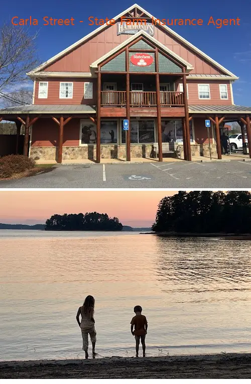 carla street  state farm insurance agent ga