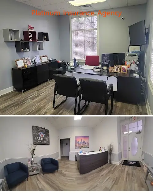 platinum insurance agency ga