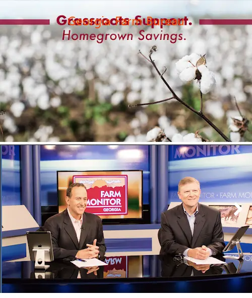 georgia farm bureau ga 31539