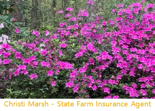 christi marsh  state farm insurance agent ga