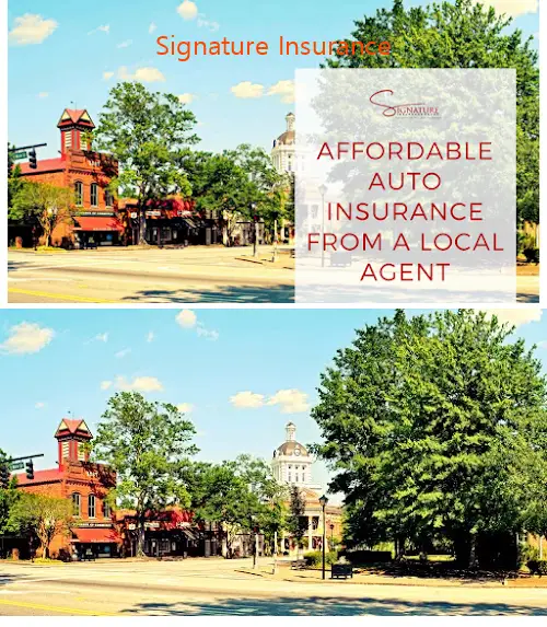 signature insurance ga 30650