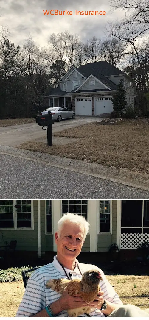 wcburke insurance ga