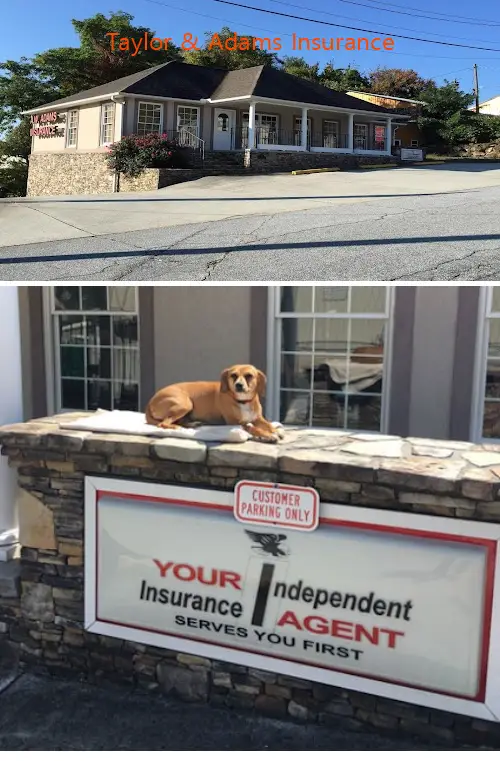taylor  adams insurance ga
