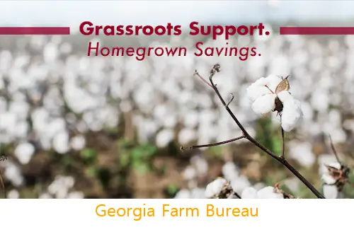 georgia farm bureau ga 30631