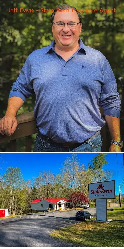 jeff davis  state farm insurance agent ga