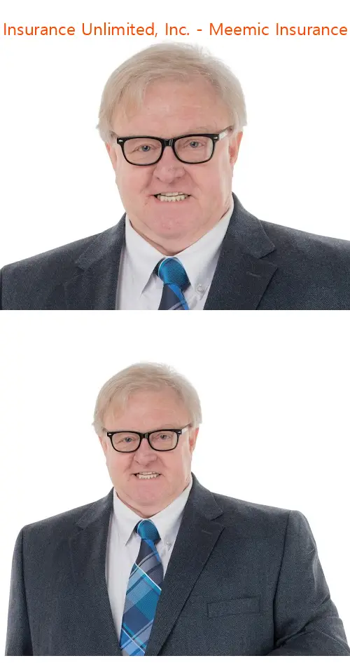 myers insurance unlimited inc  meemic insurance agent il